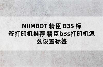 NIIMBOT 精臣 B3S 标签打印机推荐 精臣b3s打印机怎么设置标签